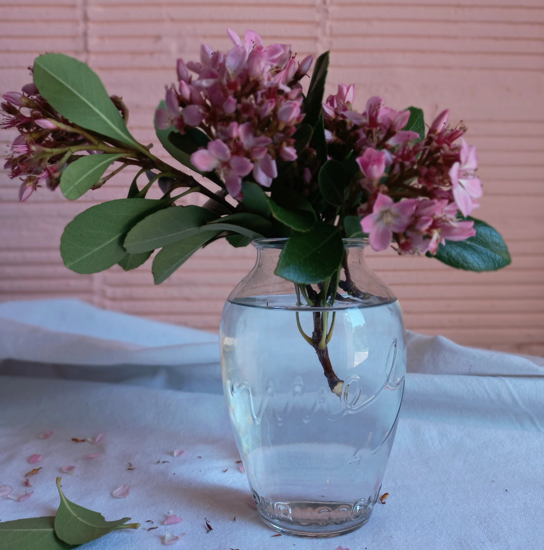Miel Glass Jar or Vase