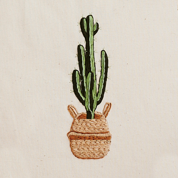 cactus in a woven basket