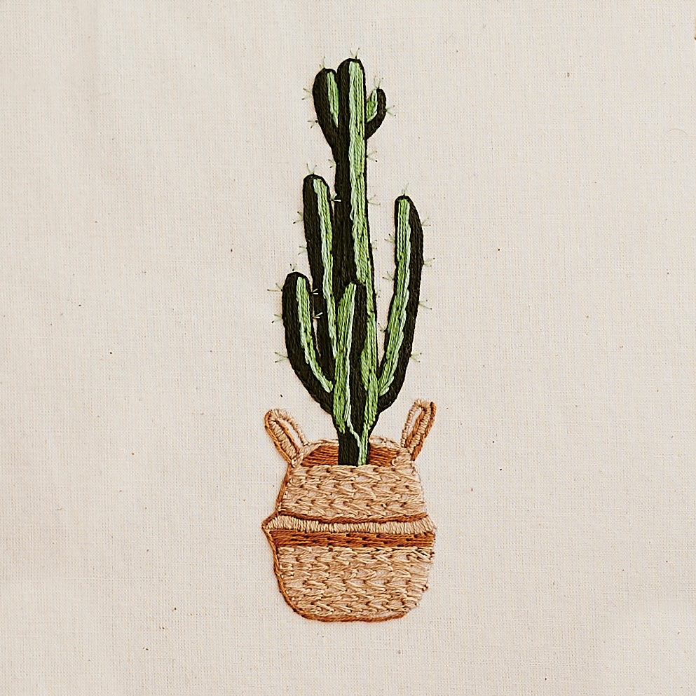 cactus in a woven basket